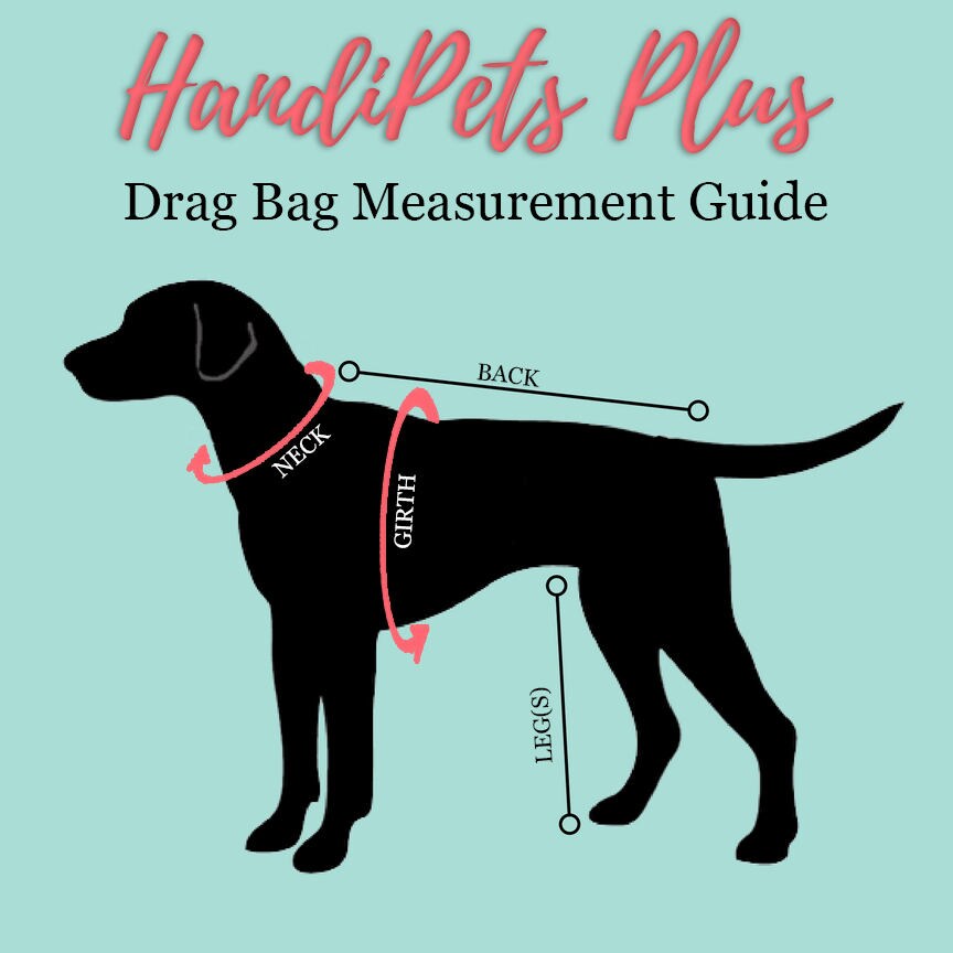 Custom waterproof drag bag pants for disabled, handicapped, or paralyzed pets